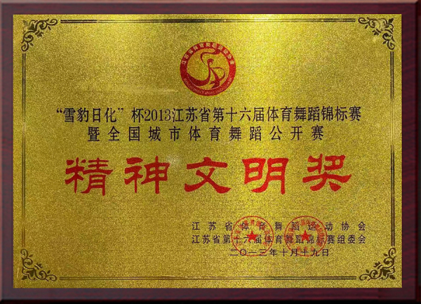 “雪豹日化”杯2013江苏省第十六届体育舞蹈锦标赛