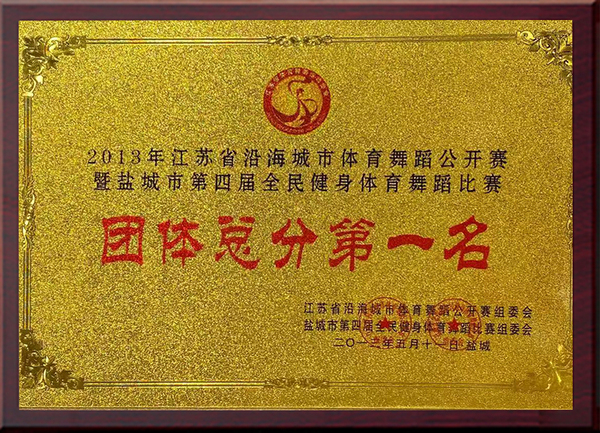 2013年江苏省沿海城市体育舞蹈公开赛