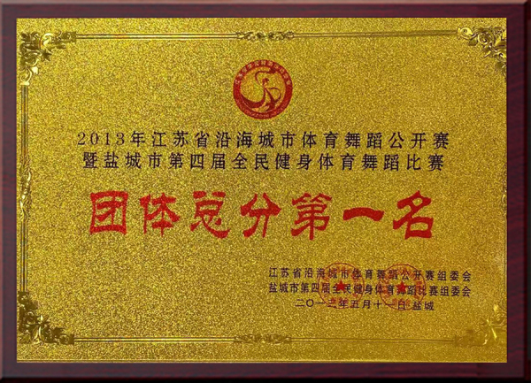 2013年江苏省沿海城市体育舞蹈公开赛