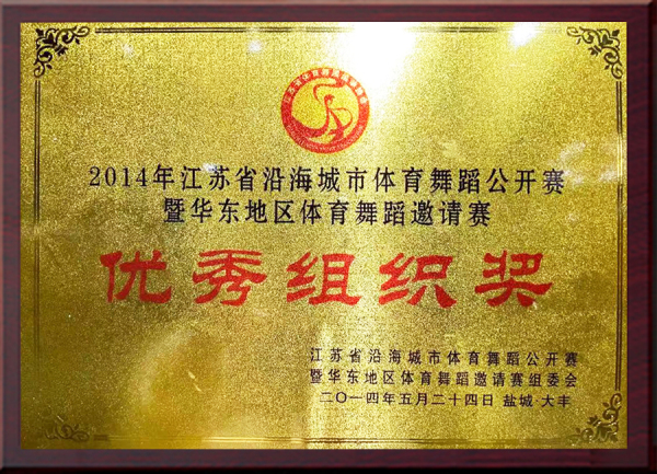 2014年江苏省沿海城市体育舞蹈公开赛 