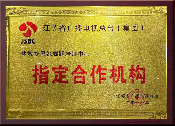 江苏省广播电视总台(集团) 指定合作机构