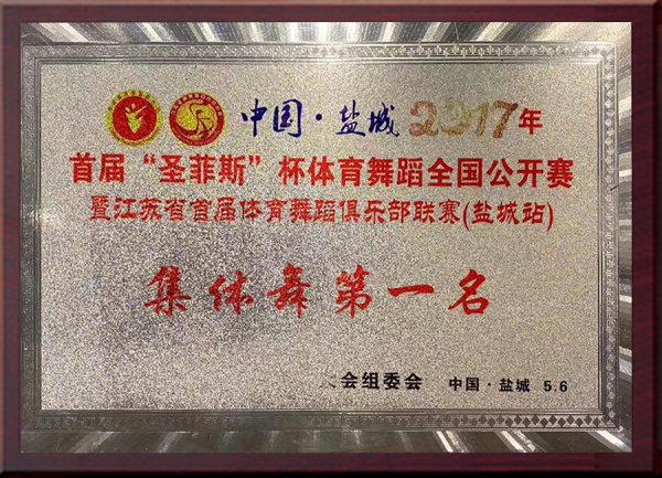 首届“圣菲斯”杯体育舞蹈全国公开赛