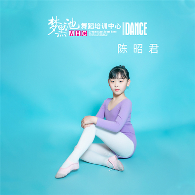 陈昭君